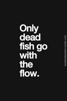 dead fish quote